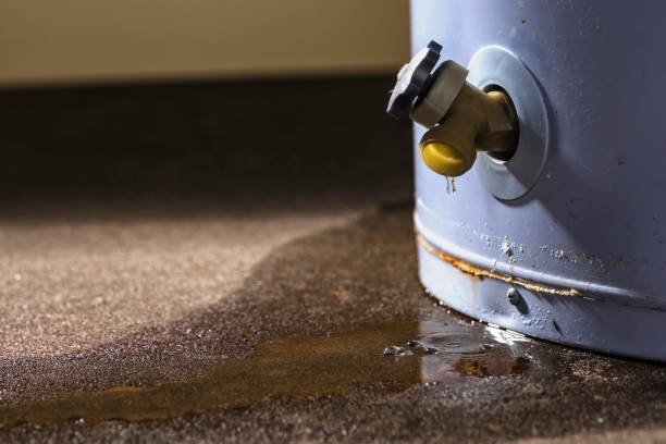 Best Commercial water damage restoration  in Frankfort, IN