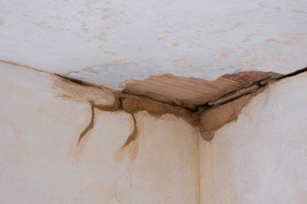 Best Water damage restoration specialists  in Frankfort, IN