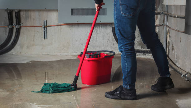 Best Water damage restoration near me  in Frankfort, IN