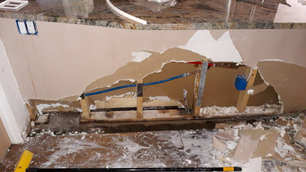 Best Basement water damage restoration  in Frankfort, IN