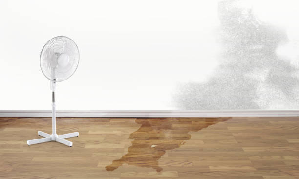Best Sewage cleanup and water damage restoration  in Frankfort, IN