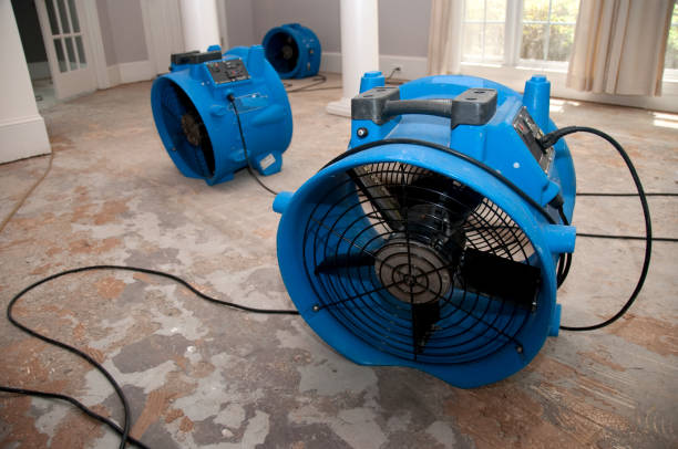 Best Flood restoration services  in Frankfort, IN