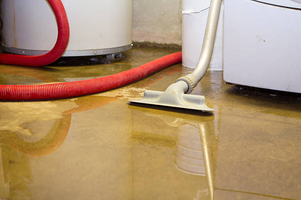 Best Water damage restoration company  in Frankfort, IN