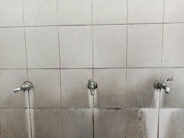 Best Water damage restoration near me  in Frankfort, IN