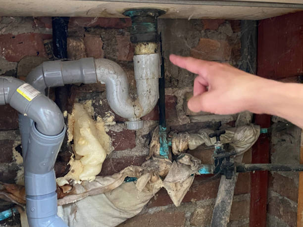Best Water damage cleanup near me  in Frankfort, IN