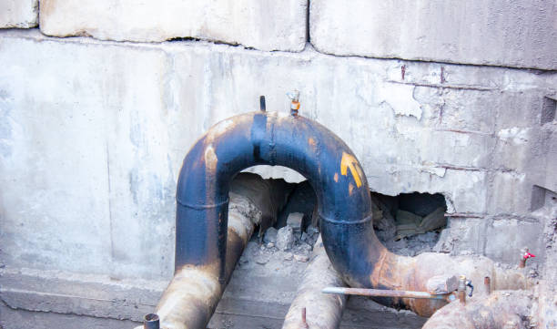 Best Mold removal after water damage  in Frankfort, IN
