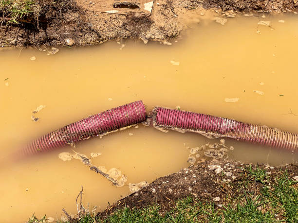 Best Professional water damage repair  in Frankfort, IN